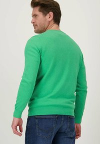 Dansaert Blue VASIC - Trui - forestgreen