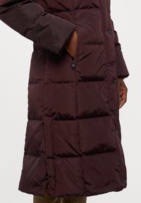 Lauren Ralph Lauren Petite COAT - Πουπουλένιο μπουφάν - pinot noir