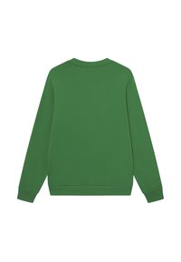 Žalias džemperis ilgomis rankovėmis, apvaliu iškirpimu ir raukšlėtomis rankovėmis. Lygi tekstūra vienos spalvos, be raštų ar papildomų detalių.