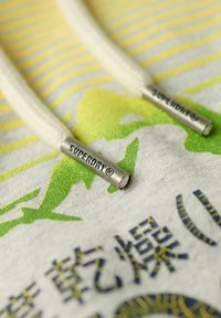 Superdry & Co CORE LOGO GREAT OUTDOORS - Felpa con cappuccio - glacier grey marl