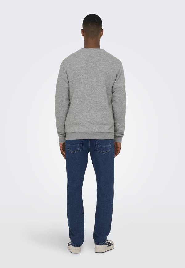 ONSCERES CREW NECK  - Sweatshirt3