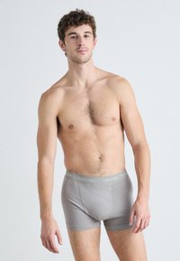 Boxer briefs grigi in cotone con design aderente e cintura elastica con il marchio "Calvin Klein". Tessuto liscio, stile classico.