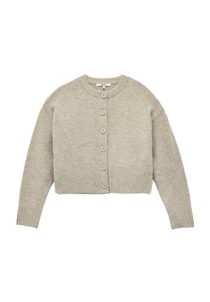 CREW NECK  - Gilet - brown