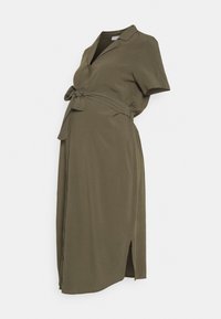 Selecionado, grape leaf