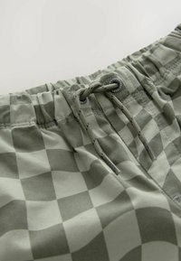 Shorts de bain à carreaux verts avec une taille élastique, dotés d'un cordon de serrage et d'une accent en métal à la taille. Texture de tissu douce.