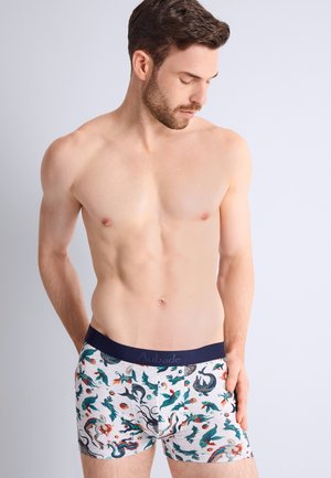 Homme torse nu aux cheveux courts et bruns portant des caleçons blancs avec des motifs colorés de dragons et de poissons sur un fond gris clair.