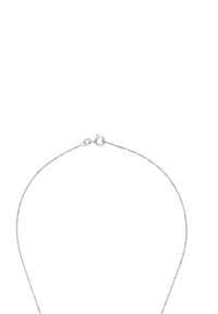 Collana delicata in argento con catena intrecciata e chiusura a moschettone su sfondo bianco.