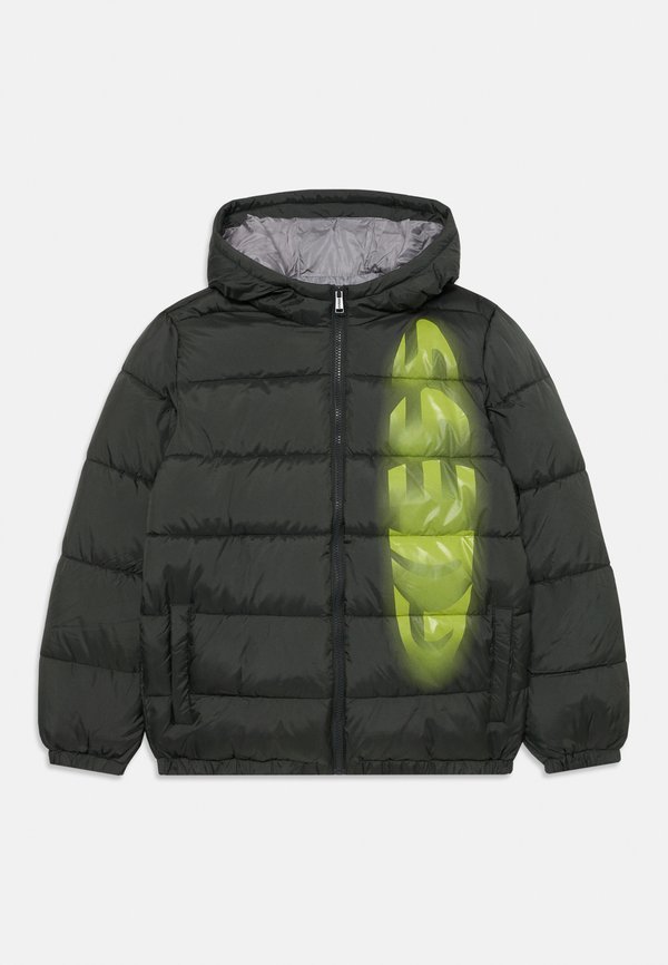 JUNIOR HOODER JACKET ZIP - Light jacket