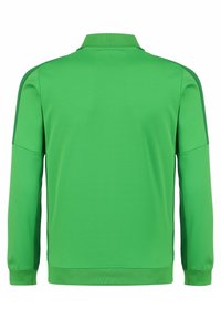 Groene lange mouwen pullover met een kraag, met zijpanelen in een donkerder groen tint en een gladde, lichte stof.