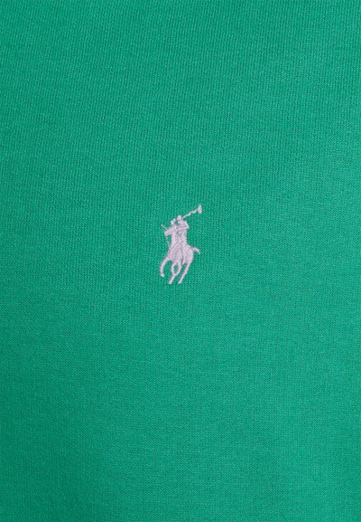 Polo Ralph Lauren Big & Tall THE RL FLEECE HOODIE - Sweatshirt com capuz - raft green