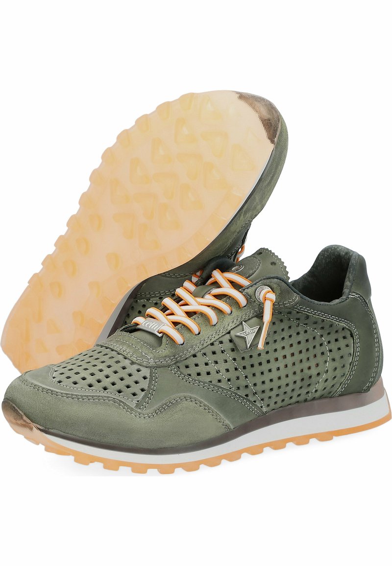 Herren Sneaker low | Cetti Sneaker low mittelgrün/grün - SG11602 Herren Sneaker low | Cetti Sneaker low mittelgrün/grün - SG11602