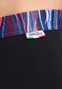 Zwarte zwembroek met een gemêleerde, veelkleurige tailleband. Voorzien van een zichtbaar merkembleem met groene, witte en rode accenten.