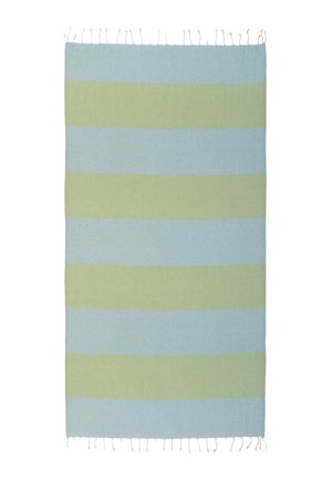 Rectangular woven rug with alternating wide horizontal stripes in light blue and soft green, with fringes on shorter edges.