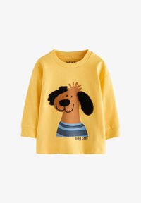 No seleccionado, yellow boucle dog