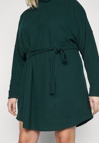 Abito lungo a maniche lunghe verde scuro con collo alto, vita stretta con cintura e silhouette A-line morbida. Tessuto soffice e design minimale.