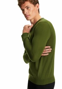 FALKE BASIC V-NECK - Maglione - olive