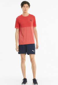 Puma ACTIVE - Pantalón corto de deporte - peacoat