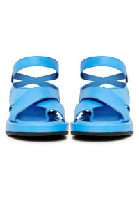 Infradito blu con larghe cinghie incrociate, design aperto sulla punta e suola piatta nera. Realizzate in materiale sintetico liscio.