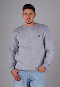 Gray sweatshirt made of soft fabric, featuring a crew neckline and ribbed cuffs. Embroidered green logo on the left chest.