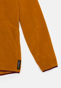 Jack Wolfskin ICELAND 3IN1 - Blouson - autumn leaves