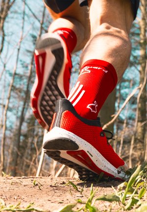liiteGuard PRO-TECH - Sportsocken - red