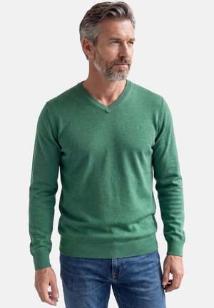 Mann mit grauen Haaren und Bart, trägt einen grünen V-Ausschnitt-Pullover und blaue Jeans, schaut seitlich vor einem einfarbigen Hintergrund.