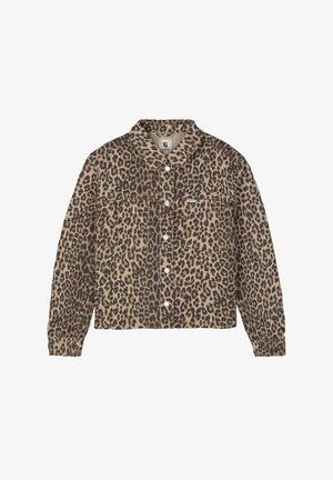 Garcia Spijkerjas - turtledove