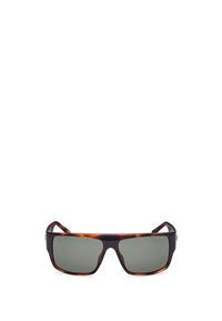 Guess Solbriller - dark havana   green