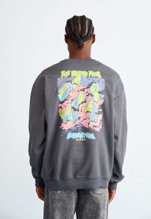 Grijze sweatshirt met een kleurrijke abstracte bergafbeelding op de achterkant, met de tekst "THE NORTH FACE" en "EXPEDITION SERIES".