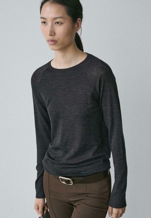 RAGLAN SLEEVE - Longsleeve - dark grey