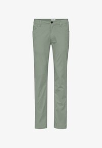 Unausgewählt, cactus