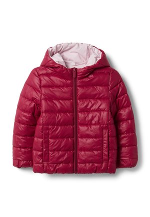 OVS, HOODED JACKET - Winterjas - pink red
