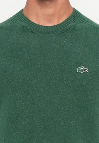 Prim-plan al unei persoane care poartă un pulover tricotat verde, cu un mic logo brodat de crocodil pe piept.