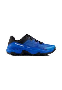 Niebieskie buty do biegania trailowego z oddychającą siateczką, czarnymi akcentami i solidną czarną podeszwą dla lepszej przyczepności. Posiadają logo Gore-Tex.