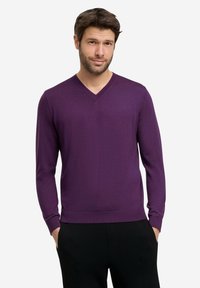 Maglione a V, a maniche lunghe, di colore viola scuro, realizzato in materiale a maglia fine. Vestibilità slim con polsini a coste, indossato sopra pantaloni neri.