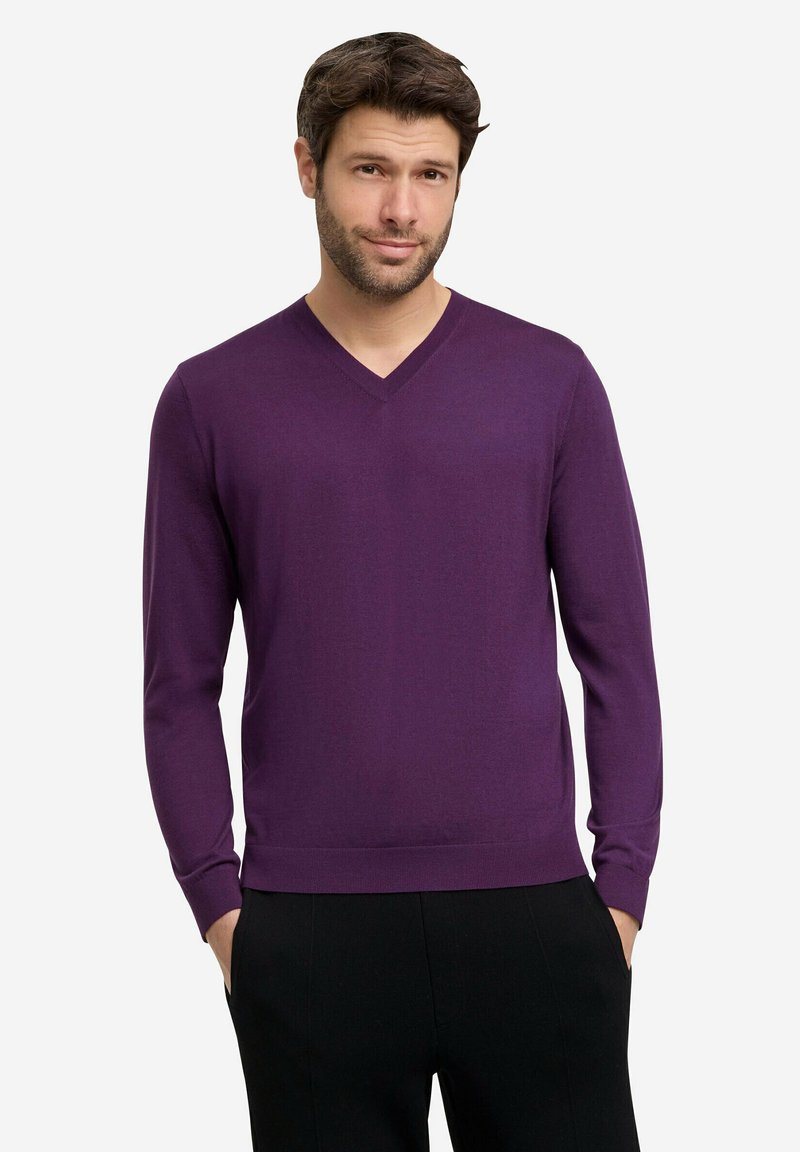 Maglione a V, a maniche lunghe, di colore viola scuro, realizzato in materiale a maglia fine. Vestibilità slim con polsini a coste, indossato sopra pantaloni neri.