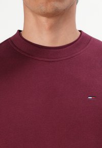 Primer plano del cuello y la parte superior del pecho de una persona que viste un suéter marrón con cuello redondo, con un pequeño logo rectangular rojo, blanco y azul.