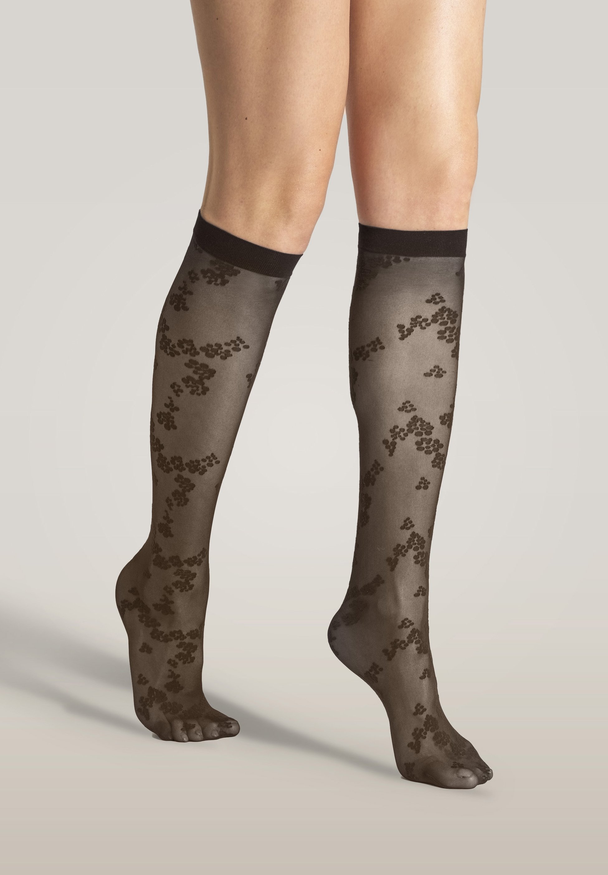 Wolford FLORET Calzettoni dark wood/marrone scuro Zalando