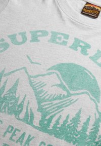 Grå bomulds t-shirt med teal bjerggrafik, træer og "SUPERDRY" tekst. Blød tekstur med rund hals og synlig label.