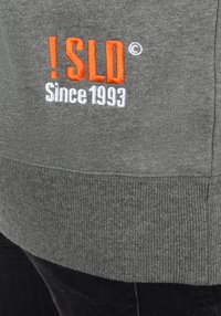 Pelēks sporta džemperis ar oranžiem un baltiem izšuvumiem: "! SLD® Since 1993" priekšējā apakšmalā. Ribas aproču detaļas.