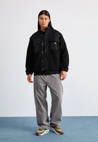 Dickies BUILT UP MOUNT HOPE - Veste d'hiver - black