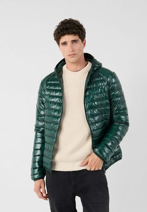 NICO SHINY - Gewatteerde jas - groen