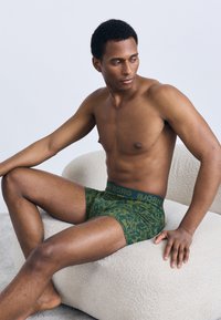 Πράσινα μποξεράκια με σχέδιο και μαλακή ελαστική μέση. Το υλικό φαίνεται λείο και διαπνέον, σχεδιασμένο για άνεση και εφαρμογή.