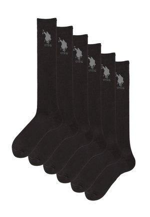 U.S. Polo Assn. 6 PACK LOGO SOLID - Calcetines hasta la rodilla - black