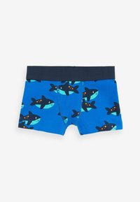 Next - Panty