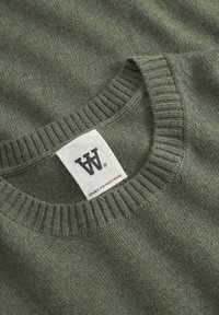 Grüner Strickpullover mit einem runden Rippkragen. Sichtbares Etikett mit Logo und Markennamen. Weiche Textur mit einem subtilen Muster.