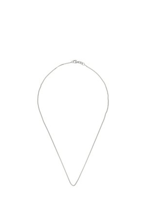 Delicata collana a catena in argento con una piccola chiusura, mostrata su uno sfondo bianco semplice.