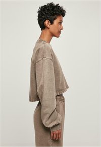 AksKort, langermet sweatshirt i dempet brun stoff med myk tekstur. Har ribbestrikkede detaljer ved mansjettene og kanten.
