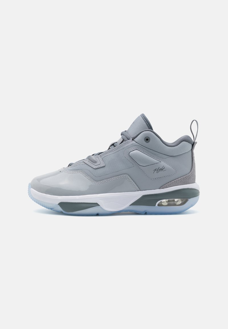 Jordan JORDAN STAY LOYAL 3 UNISEX - Obuća za košarku - wolf grey/cool grey/white