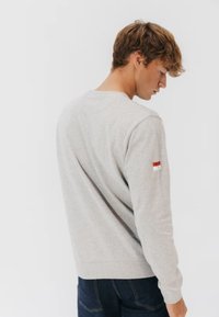 Felpa grigio chiaro con maniche lunghe, scollo a girocollo e un piccolo dettaglio rosso e bianco sulla manica. Tessuto morbido, vestibilità casual.